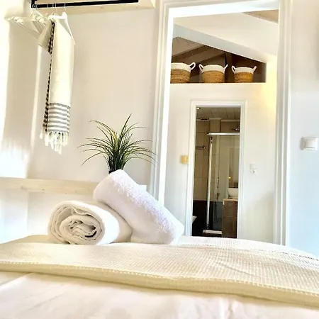 Alkestis Studios Apartment Lixouri